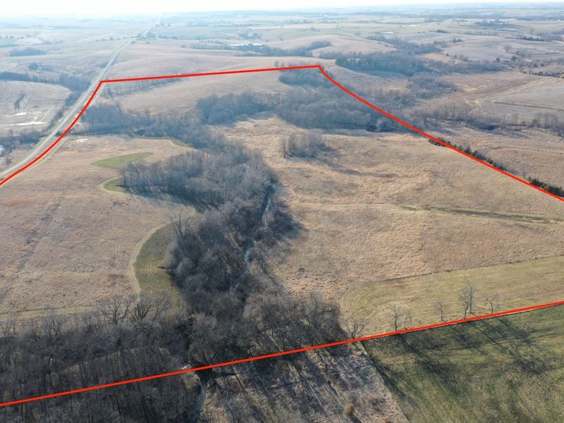 80-Acre Land Southern Iowa Hunting : Mount Ayr : Ringgold County : Iowa