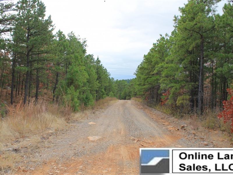 Oklahoma, Pittsburg County : Daisy : Pittsburg County : Oklahoma