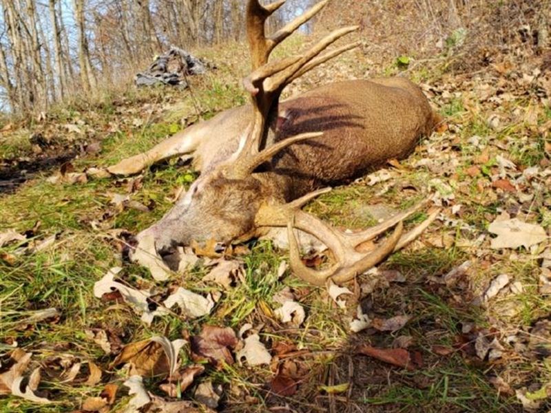 Big Buck Hunting Land Boscobel, WI : Boscobel : Grant County : Wisconsin