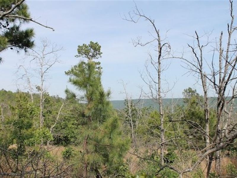 Oklahoma, Pittsburg County, Ranch for Sale by Owner in Oklahoma