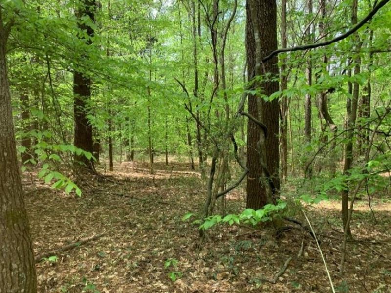 80 Acres in Lincoln County in Brook : Brookhaven : Lincoln County : Mississippi