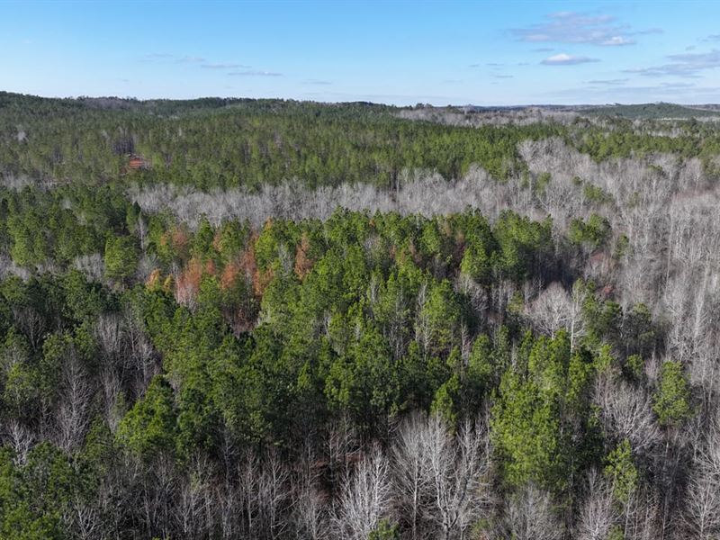 Big Creek Recreational and Hunting : Greenwood Springs : Monroe County : Mississippi