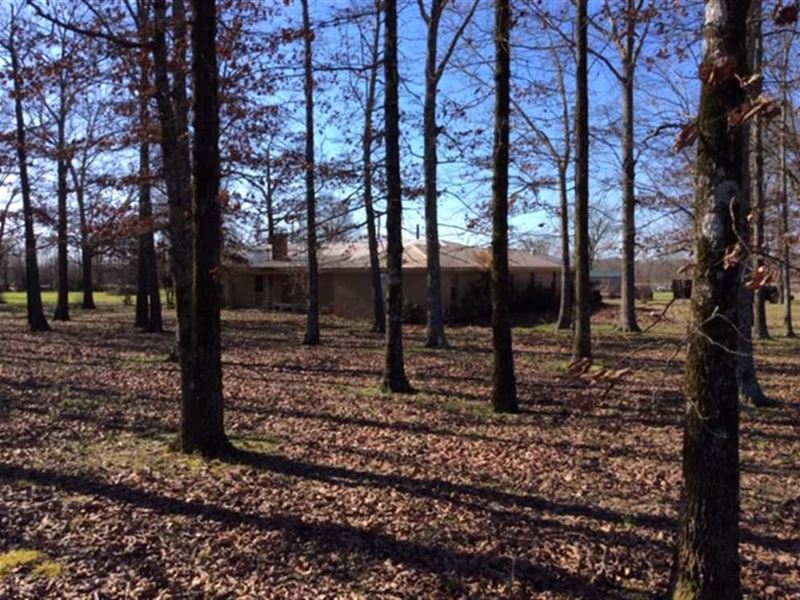 Nice Pastureland with 4 BR Home : Aberdeen : Monroe County : Mississippi