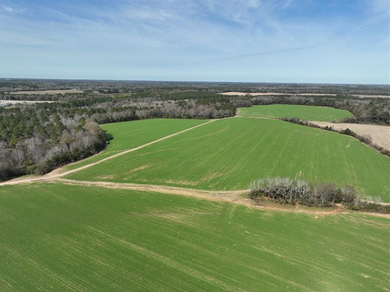 11 Acres of Scenic Pastures, Lot 7 : Dothan : Houston County : Alabama