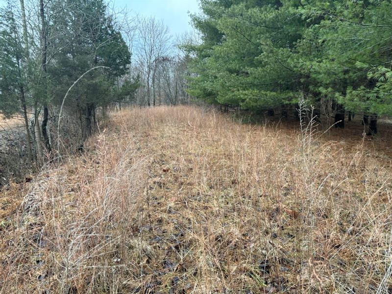 Hunting Rd. Hunting Property : Milltown : Crawford County : Indiana