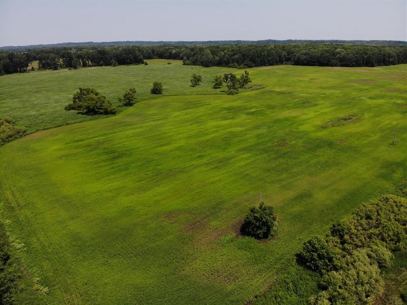 66 Acres Hunting Land with Tilla : Bangor : Van Buren County : Michigan