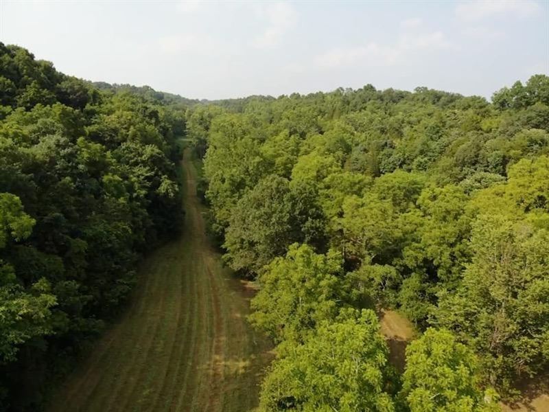 136 Acres Switzerland County : Vevay : Switzerland County : Indiana
