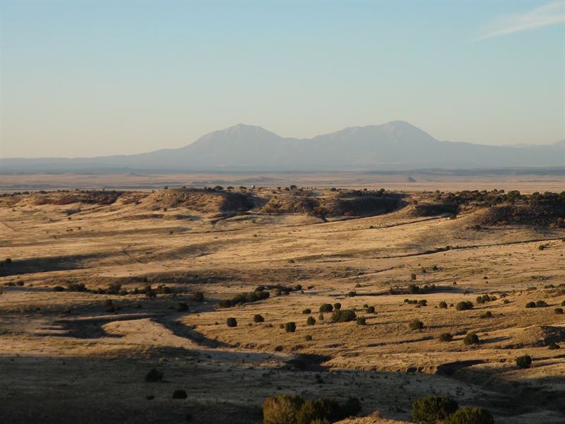 Legacy Ranch 28 : Rye : Pueblo County : Colorado