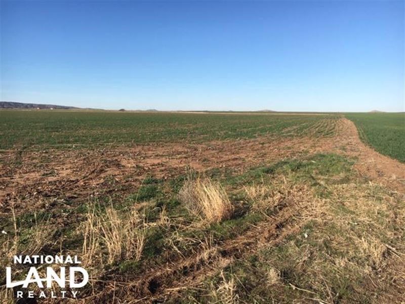 Large Acreage Farmland, Agricultura, Ranch for Sale in Oklahoma