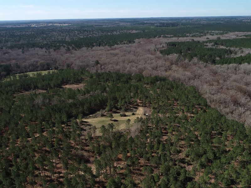 Frazier Creek Hunt Club East TX : Jefferson : Marion County : Texas