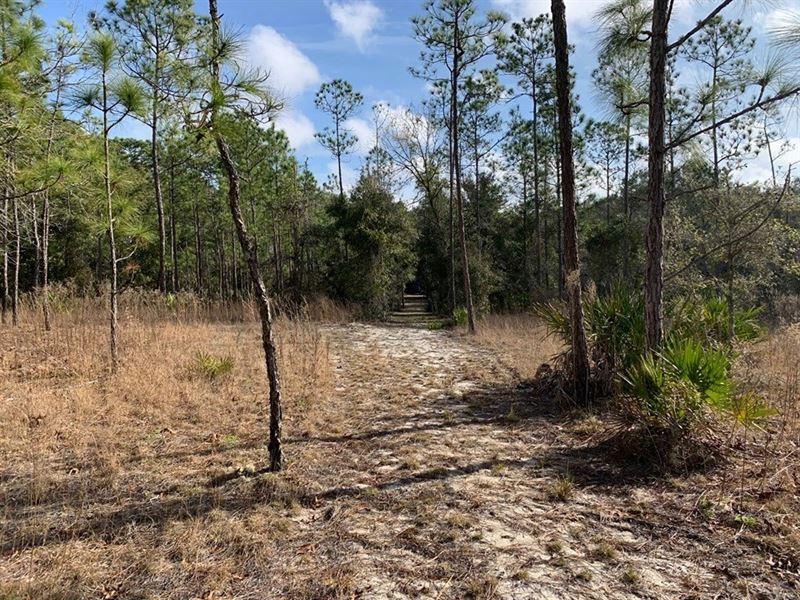 Vacant Land North Central Florida : Branford : Gilchrist County : Florida