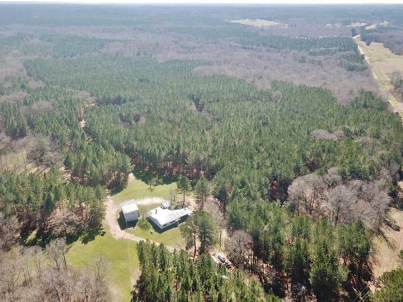 477 Acre Hunting Paradise, Camp : Union Church : Jefferson County : Mississippi