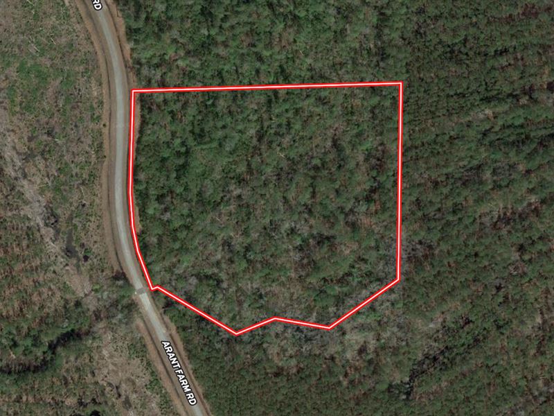 10.14 Acres of Residential Timberla : Merritt : Pamlico County : North Carolina