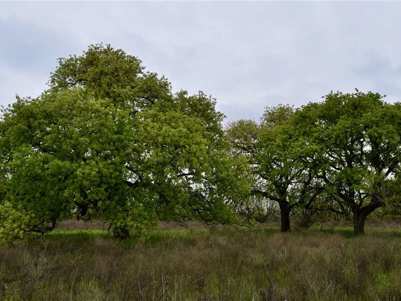High Point Ranch South : Newcastle : Young County : Texas