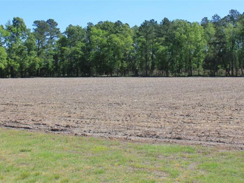 Indigo Farm Hunting Retreat : Salters : Williamsburg County : South Carolina