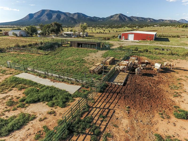 Edgewood, NM Grazing Land 80 Acres Ranch for Sale in Edgewood, Santa