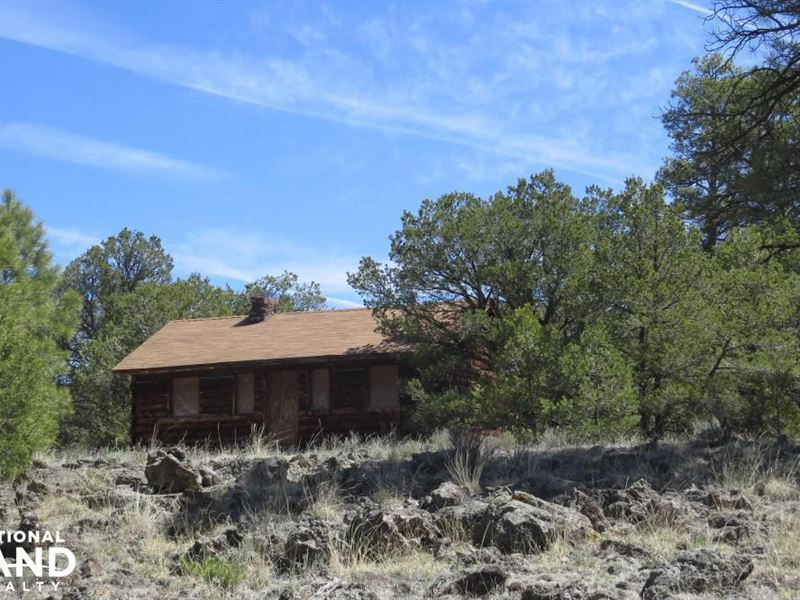 Unit 13 Non-Coer Elk Hunting Proper : Malpais : Cibola County : New Mexico