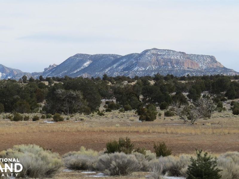 Pie Town Large Hunting Ranch, Elk Ranch for Sale in Pie Town, Catron