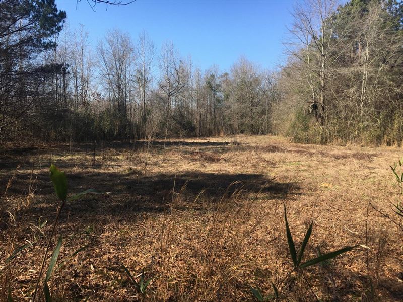 Bar L Ranch 156 Acres Dallas Co : Selma : Dallas County : Alabama
