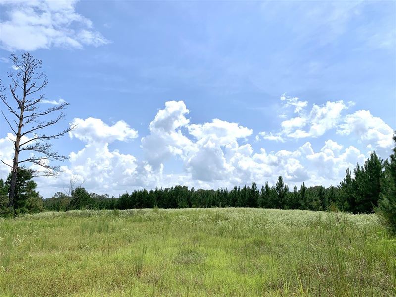 73 Acres in Montgomery County : Ramer : Montgomery County : Alabama