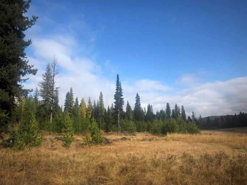 Hunting & Recreational Ranch, Ranch for Sale in Montana, 237850