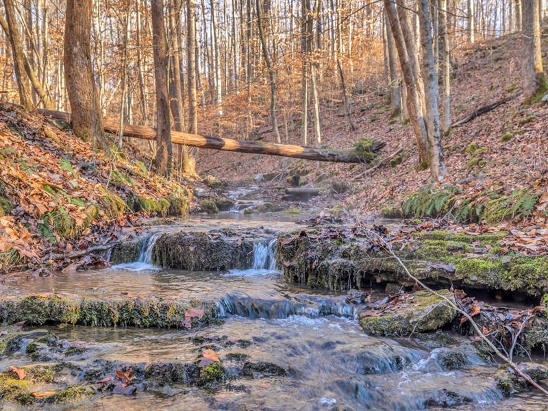 60.4 Surveyed Hunting/Recreational : Sparta : Dekalb County : Tennessee