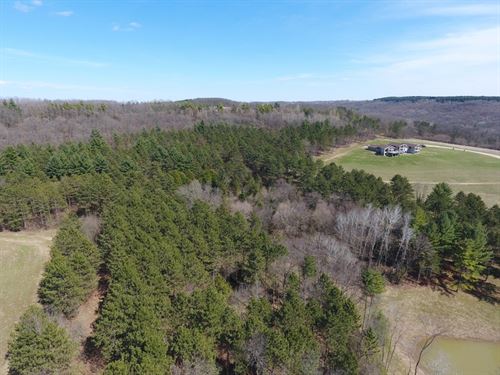 clarks faraway field sale