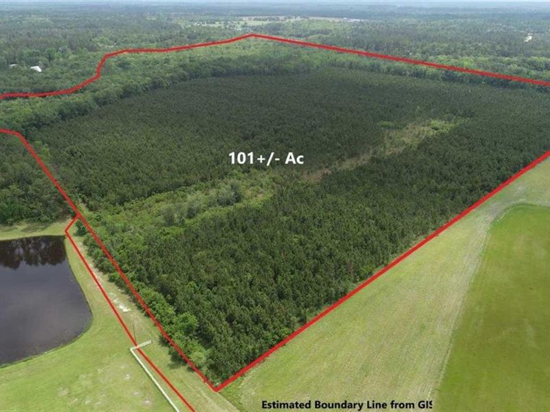 101 Acre Land for Sale in Wayne : Jesup : Wayne County : Georgia