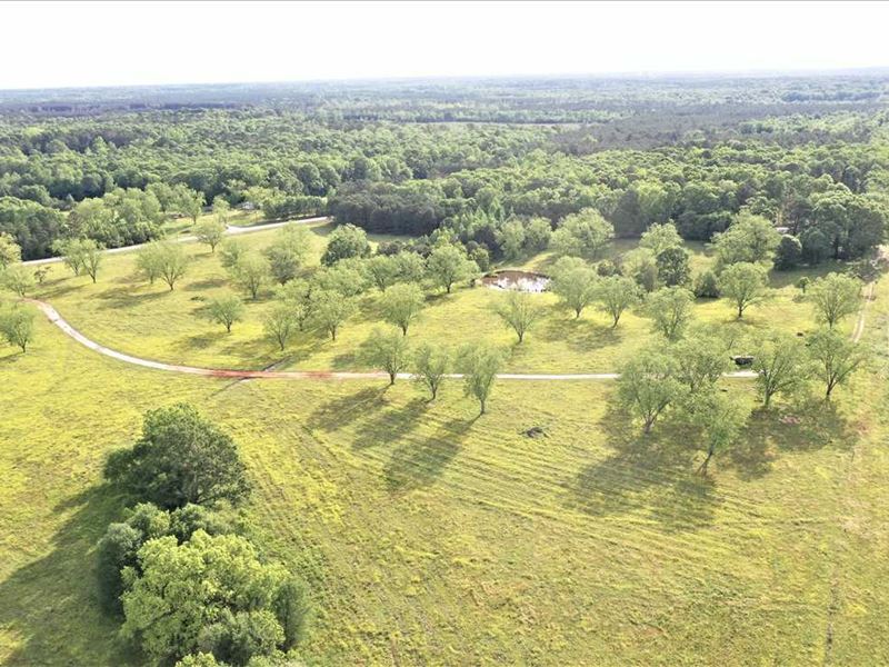 Pine Level 193. Pasture,Hunting, Ranch for Sale in Alabama, 238681