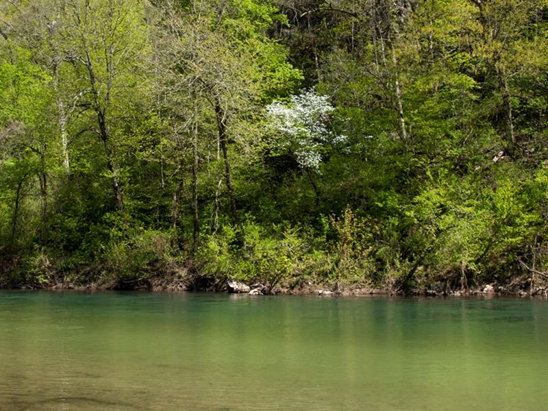 Bryant River Farm Ozark County : Gainesville : Ozark County : Missouri