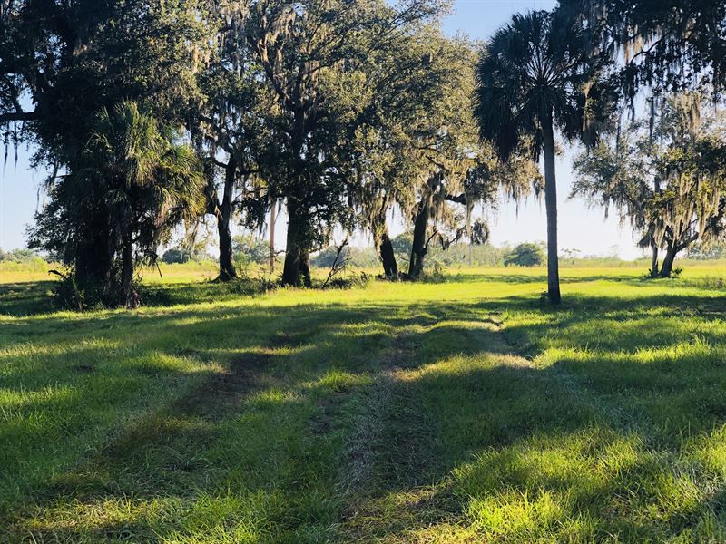 Ranch on The Peace River : Wauchula : Hardee County : Florida