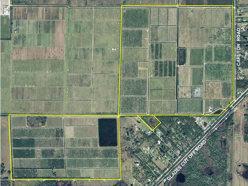 1,034 Acres Agricultural Land : Port St Lucie : Saint Lucie County : Florida