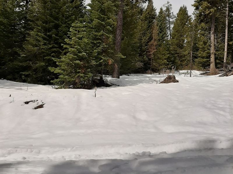 Mountain Property Eastern Oregon, Ranch for Sale in Oregon, 239073