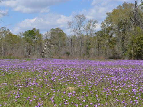 Smokehouse 765 : Arlington : Early County : Georgia