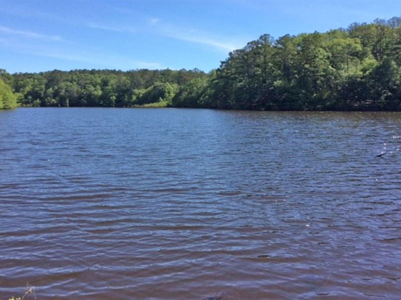 Uly Quail Tower Rd Tract and Cabin : Luverne : Crenshaw County : Alabama
