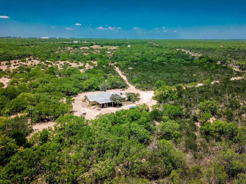 South Texas Hunting Property : Carrizo Springs : Dimmit County : Texas