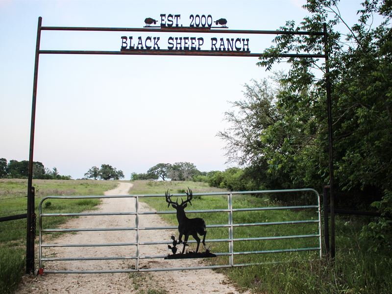 Hunting Ranch For Sale in Texas Ranch for Sale in Gatesville, Coryell County, Texas 239565