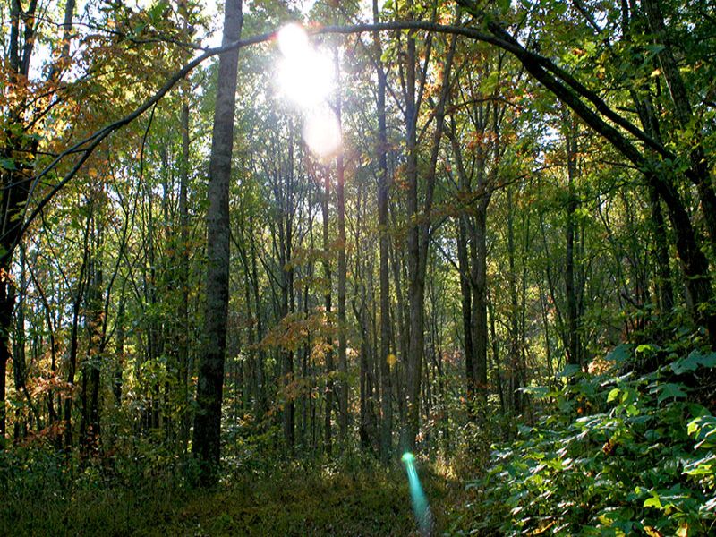 Signal: Secluded Land Close To Town : Signal Mountain : Sequatchie County : Tennessee