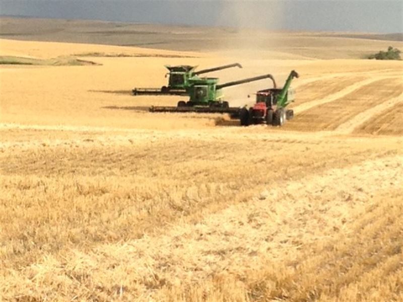 Meade County SD Farm Land/Hunting, Ranch for Sale in South Dakota