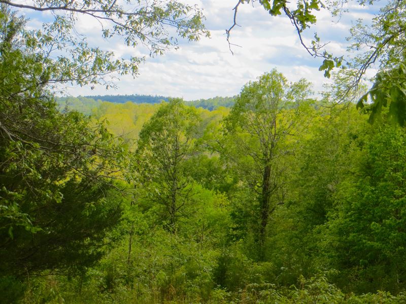 Land for Sale in Mammoth Spring AR : Mammoth Spring : Fulton County : Arkansas
