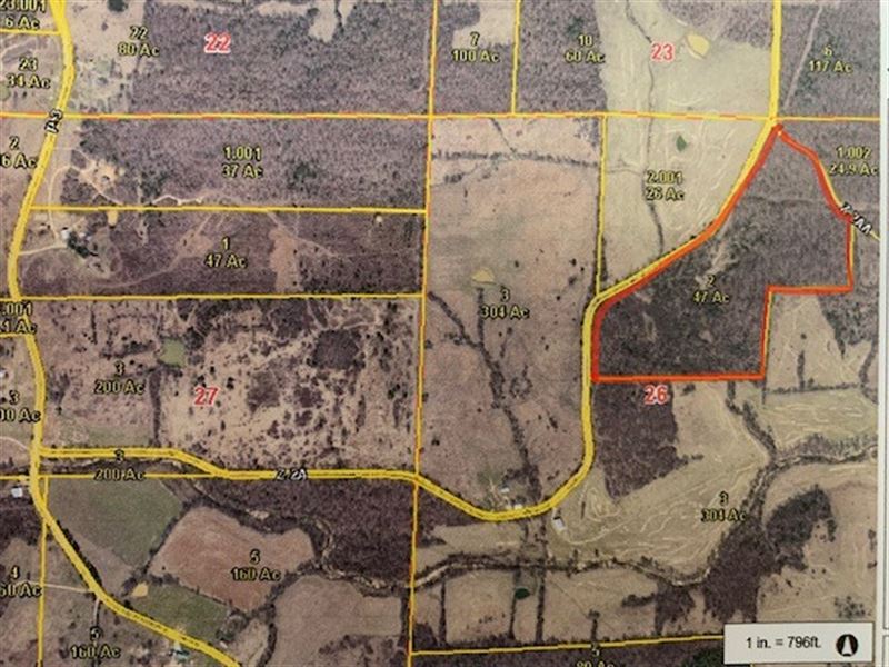 47 Acres in Ripley County, Ranch for Sale in Missouri, 240057 RANCHFLIP
