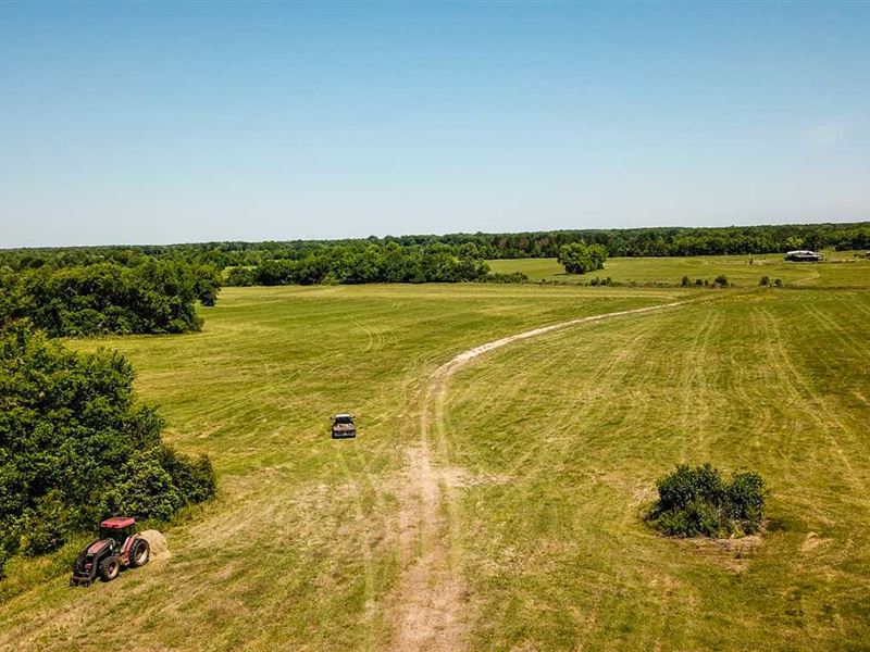 168 Acres of Farm and Hunting Land : Montgomery : Montgomery County : Alabama