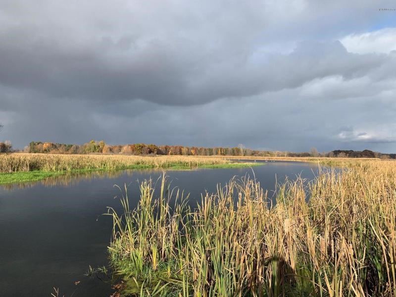Fawn River Duck Club Property, Ranch for Sale in Michigan, 240465 RANCHFLIP