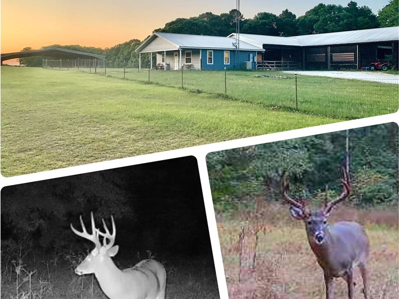 South Alabama Hunting & Horse Farm : Abbeville : Henry County : Alabama