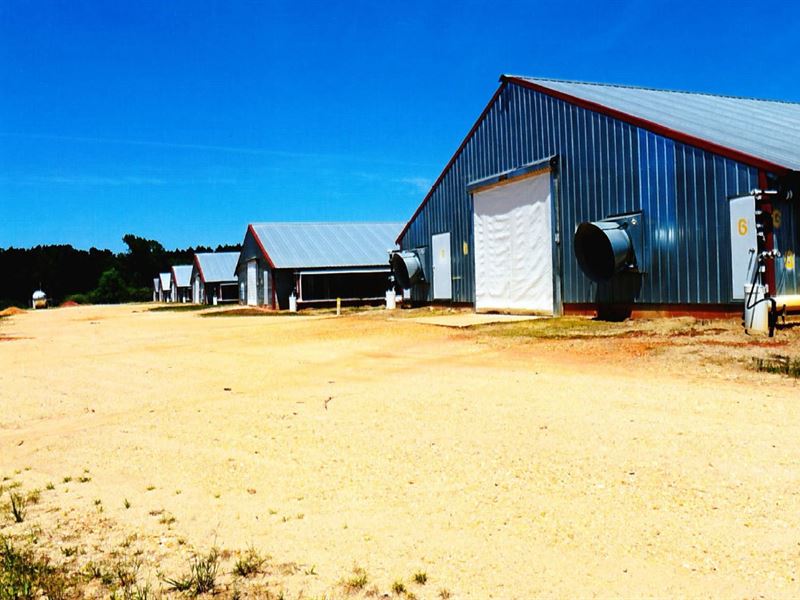 6 Broilers Chicken Farm + House : Collins : Covington County : Mississippi