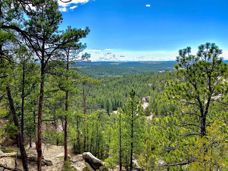 Bull Mountains Vista : Roundup : Musselshell County : Montana