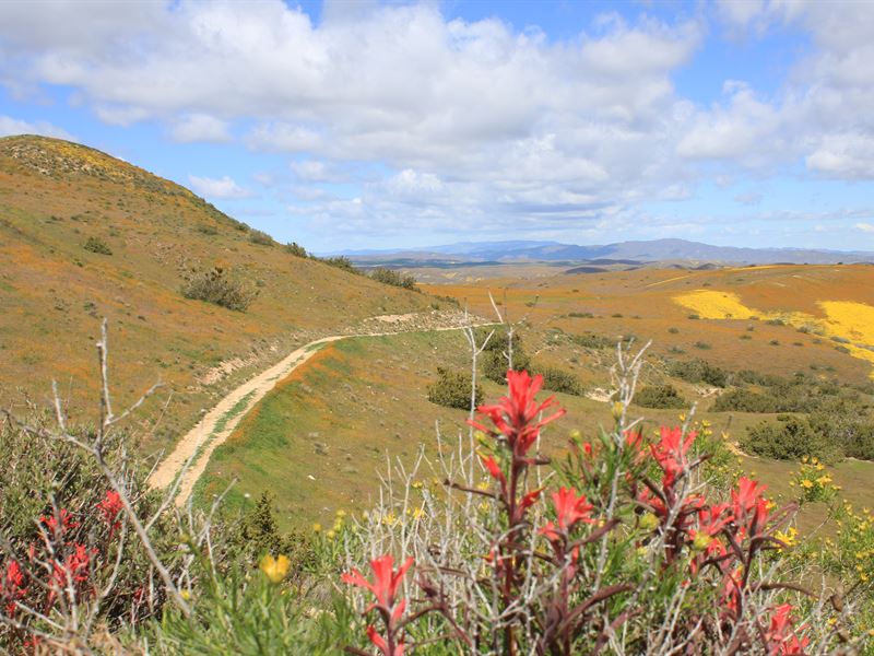 Pritchard Sumner Ranch : Shandon : San Luis Obispo County : California