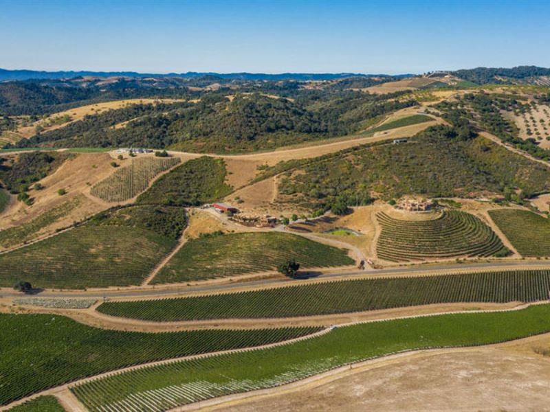 Iconic Adelaide Winery Estate : Paso Robles : San Luis Obispo County : California