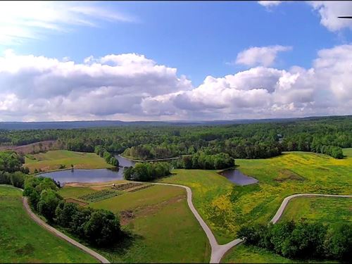 200 Acres, Lake & Pond : Gruetli Laager : Grundy County : Tennessee