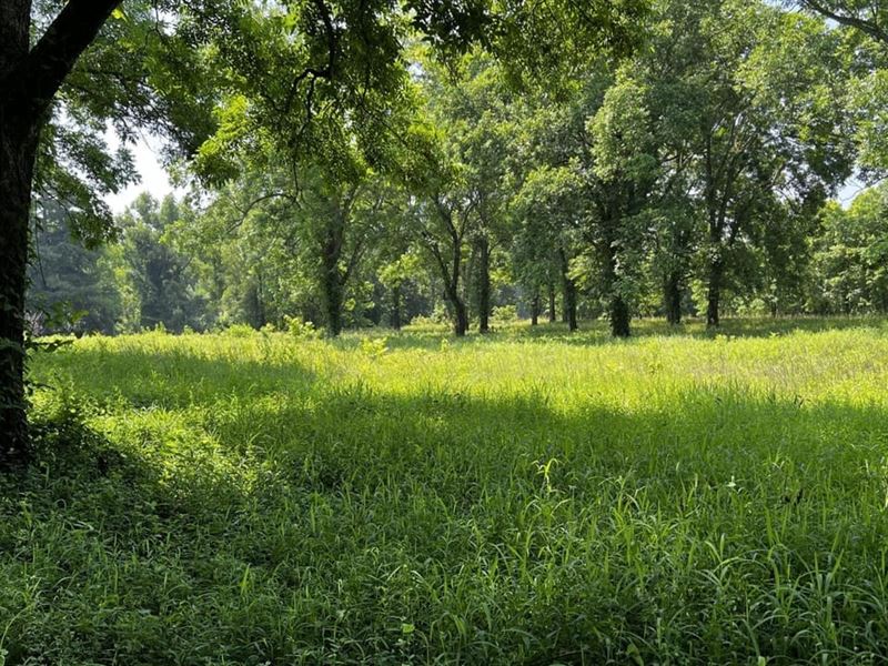 Big Spring Farm : Helena : Phillips County : Arkansas
